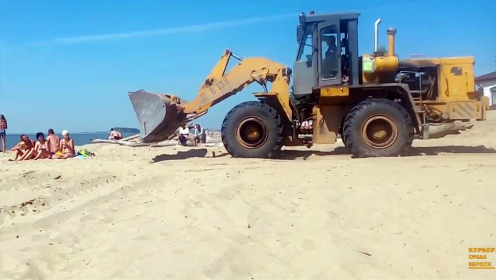 ВИДЕО: Кто на пляже в Бердске лишний?