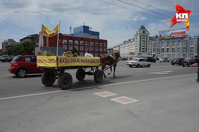 В Новосибирске движение гужевого транспорта запрещает мэрия