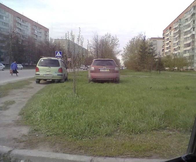 «Стопхам» по-бердски: Паркуются на газонах в Бердске? Идите в АТИ!