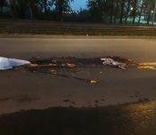 Фото (18+): «Перегруз» сбил насмерть женщину на переходе в Новосибирске