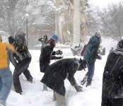 Новосибирцев возмутили дети, игравшие в снежки возле проезжей части (видео)