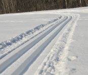 Лыжник умер на лыжне в районе БЭМЗа в Бердске