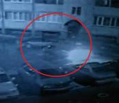 Алиса из Бердска разыскивает мужчину, стукнувшего её авто (видео)