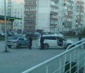 Водителя подшофе с собакой и ребёнком задержали в Бердске после ДТП на Бердской косе