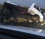 В столкновении «ГАЗели» и «Скании» на трассе погиб водитель отечественного автомобиля