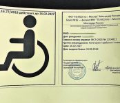 В России начали выдавать новые индивидуальные знаки «Инвалид»