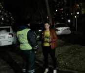 Не дали проспаться автоледи сотрудники областного полка ДПС в Бердске