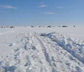 С 40-градусными морозами встретят Новый год бердчане и другие жители региона
