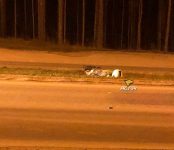 Бердский байкер разбился в ДТП на трассе и скончался от ран в больнице