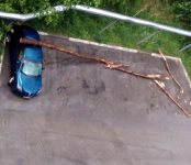 15-минутный шторм отметился в Бердске падением деревьев на машины и затоплением городских дорог