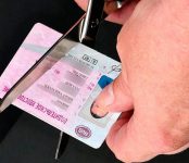 В ГИБДД НСО рассказали о порядке выдачи и замены водительских удостоверений