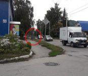 Пень и мусорка ограничивают обзор на аварийно-опасном перекрёстке в Бердске?