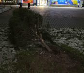 «Гонщик» на «Тойота Витц» уничтожил ёлочку на улице Ленина в Бердске