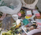 Гараж с кокаином, гашишем и «синтетикой» нашёл наркоконтроль в Бердске