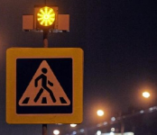 Для безопасности школьников в Бердске установят светофоры типа Т7