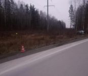 На Краснояровском шоссе, столкнувшись с деревом, погиб водитель Lexus RX350