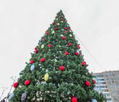 Власть Бердска: из-за «дрифтеров» не вернём новогоднюю ёлку на площадь Горького