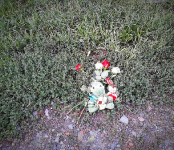 На месте гибели юной бердчанки под колёсами КамАЗа в Бердске организовали мини-мемориал