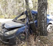Два человека серьёзно пострадали в такси, врезавшемся в дерево в Бердске