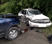 В ДТП на Красном Соколе в Бердске травмированы два человека: водитель «Тойоты» и 9-летняя девочка-пассажир