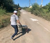 Кандидатский минимум: Мужчина в бейсболке заштукатурил декоративной смесью от короедов дорогу в Бердске