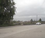 Массово уничтожают деревья по нацпроекту БКАД в Бердске