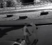 Кражу аккумулятора из одного из двух авто в Бердске запечатлела камера видеонаблюдения