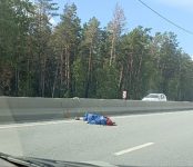 Один человек погиб на дорогах Бердска, 42 — травмировано