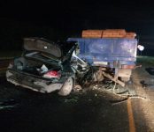 В ГИБДД региона прокомментировали вчерашнее смертельное ДТП на трассе в Искитиме