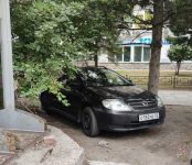 «Райское» место для парковки в Бердске нашёл себе автовладелец «Тойоты» с госномером О182  МЕ регион 03