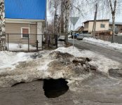 Бердчанка предотвратила большую беду на дороге в Бердске